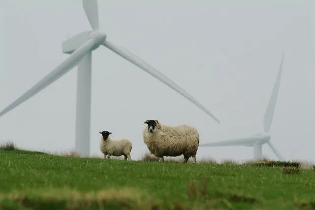 Wind Turbines