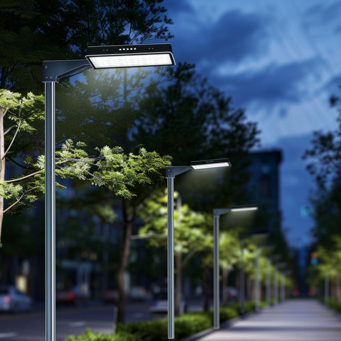 Hybrid Street Light