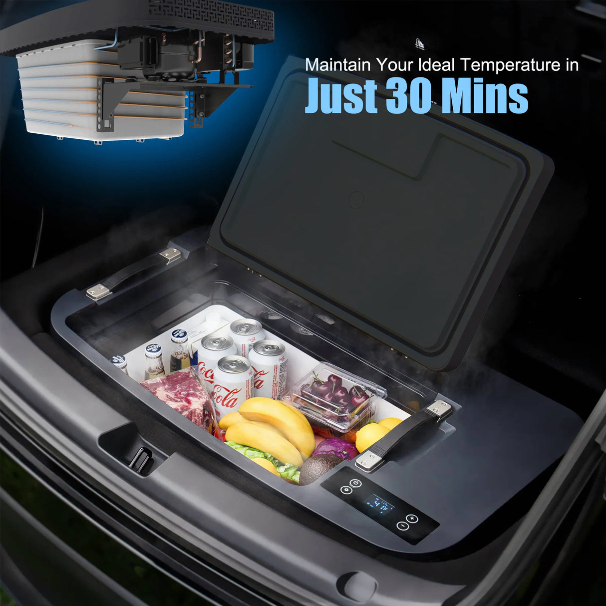 ACOPOWER TesFridge Portable Freezer——Specially Designed for Tesla Model 3